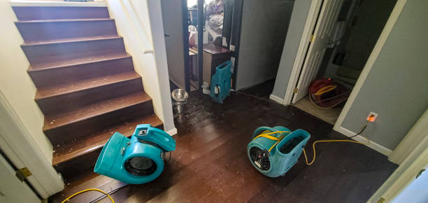 Best Basement water damage restoration  in Start, LA