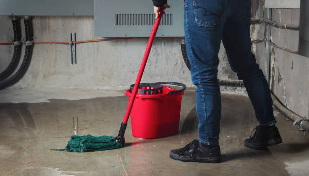 Best Water damage restoration near me  in Start, LA
