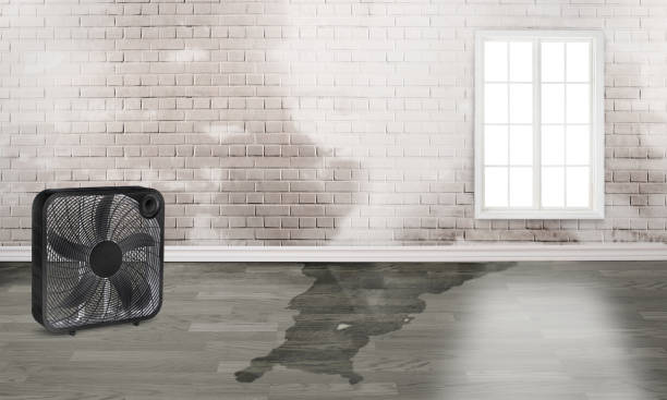 Best Fire Damage Restoration  in Start, LA