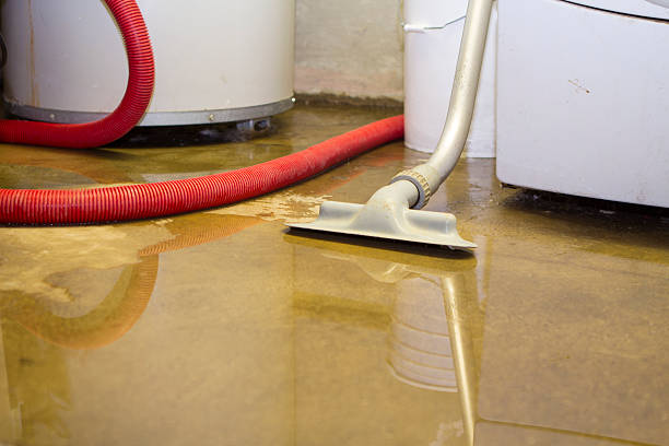 Best Local water damage restoration  in Start, LA