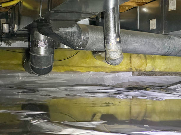 Best Carpet water damage restoration  in Start, LA