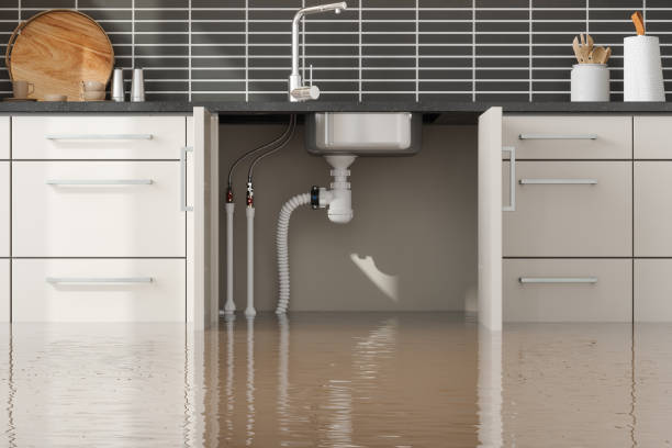 Best Sewage cleanup and water damage restoration  in Start, LA