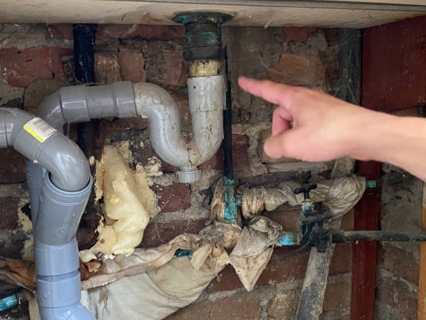Best Water damage cleanup near me  in Start, LA