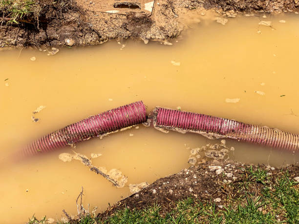 Best Water damage restoration cost  in Start, LA